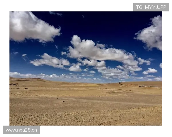 开云体盲的应对策略：实用方法帮助玩家克服开云体育中的盲区