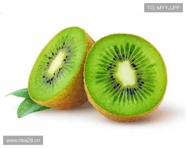 星空体育官方登录入口登录失败怎么办及快速解决方案介绍